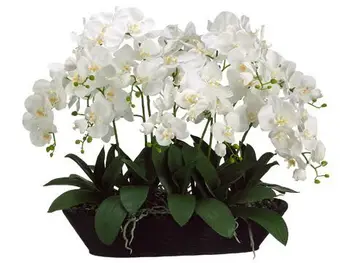 Flori Aranjament 12 BUC Orhidee + 10 BUC Frunze Reale de Atingere Flori de Nunta, Flori False Decorative Eveniment Floare Transport Gratuit