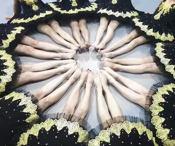 Profesionist De Balet Tutu Fete De Gimnastică Dans Rochie De Adult Lacul Lebedelor Costume De Balet Tricouri Pentru Femei Rochie De Balet Plus Dimensiune