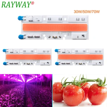 RAYWAYCOB LED-uri Cresc Chip Fito Lampa cu Spectru Complet 30W50W 70W Dioda LED Lumini Pentru Răsaduri de Interior DIY Hidroponice 220V 110V