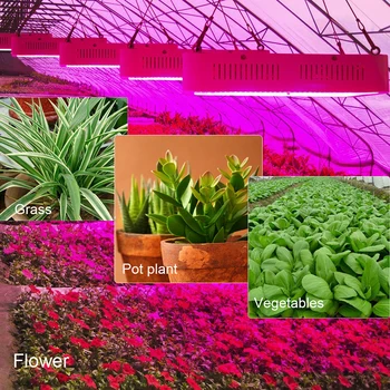 300W, 600W 800W 1000W 1200W 1600W Dublu Chip de LED-uri Cresc de Lumină întregul Spectru Rosu/Albastru/Alb/UV/IR lampa Pentru Plante,Flori cu efect de Seră