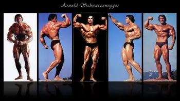 04 Arnold Schwarzenegger - Culturist Mr Olympia Univers 25