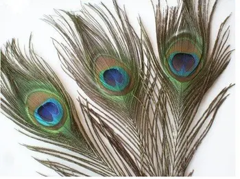 100 unids/lote plumas de pavo real 10 - 12 ani și șapte de centimetri hermosa pene naturale de la boda, partido, hogar, pelos