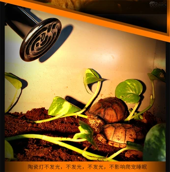 Alpinism animale de companie ceramice lumina incalzitor reptile tortue animale de companie arici șopârlă infraroșu încălzire izolarea bec lampa acvariu pentru țestoase