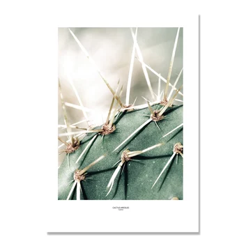 Cactus Ghivece Cu Plante Verzi Frunze De Arta De Perete Panza Pictura Cuadros Nordic Imagine Poster Poze De Perete Pentru Camera De Zi Neînrămate