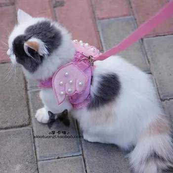 Drăguț roz înger mic pisică câine Ham cu vesta de plumb Lesa câine chihuahua pisica de companie de lux pearl guler Conduce Pentru pisică Câine costum de înger