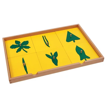 Jucărie pentru copii Montessori Botanică Frunze de Cabinet cu Introduceri Copilarie Copii Preșcolari Brinquedos Juguetes
