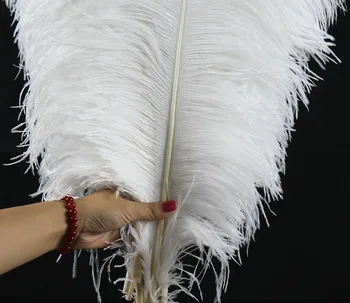 Mare pol de 10 BUC natural alb din pene de strut 65-70 cm/26-28 cm pană de struț pentru decoratiuni de nunta de înaltă calitate plume
