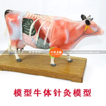 Model animal punct de acupunctura model de Vacă Anatomie Modele de Vacă anatomie model de formare