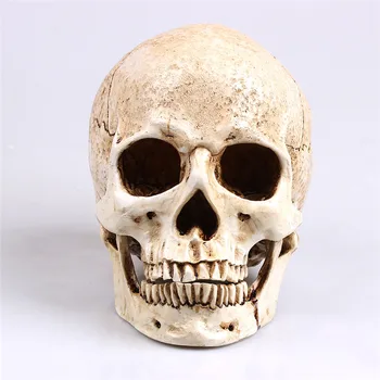 P-Flacără Albă Cap De Craniu Uman Model Replica Medicale Realiste Lifesize 1:1 Imite Rasina De Artizanat Craniu Decorative Pentru