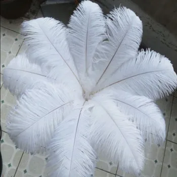 100BUC 22-24 cm / 55~60 cm naturale pene de struț rochie decorata cu pene de strut albe