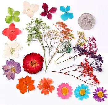 100buc Amestecat Apăsat Apăsați Flori Uscate de Umplere Pentru Epoxidică Rășină Pandantiv Colier Bijuterii de Luare de Artizanat DIY Accesorii
