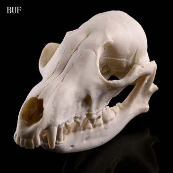 BUF Rasina de Artizanat Decor Halloween Craniu de Animal Statui Creative Bar Decor Craniu Sculptura Statuie