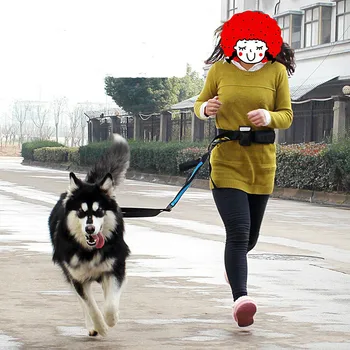 Centura elastica de Funcționare Mare câine lesa duce sport jogging, mersul pe jos câine mare guler coarda alerga Dimineata mână liberă talie lesa câine set
