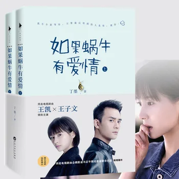 Chineză populare romane de dragoste dulce povești pentru adulți Detectiv ficțiune dragoste de carte de Dingmo cel mai bun vanzator -Dacă melcul are dragoste