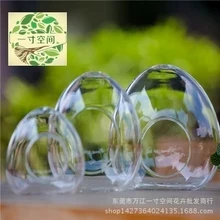 Decor de nunta Moss Micro Peisaj Ecologic de Sticla cu Miez de Plante Peisaj Vaza de Sticla DIY în formă de Ou Micro Acasă Decoraton