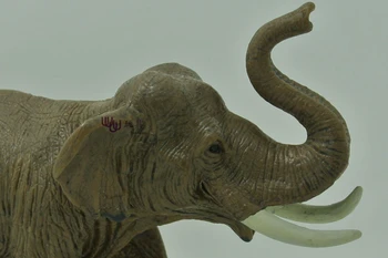 Fierbinte jucarii:Elefant Asiatic model de Simulare de Animale pentru copii jucarii copii educative elemente de recuzită
