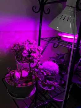 Led Răsad Becuri 126Led Plante Cresc de Lumină Lampă Cu Ac Cablu de Alimentare Adaptor de Titularul de Flori de Creștere în Creștere Pentru Interior cu efect de Seră