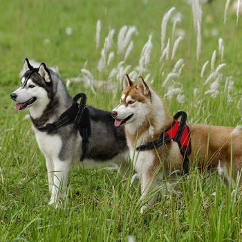 Nailon reglabil Câine de Companie Cablajului Vestă Reflectorizantă Ochiuri Mici Mijlocii Mari Câini de Mers pe jos de Formare Hamuri Cu Ridicați Mânerul S-XL