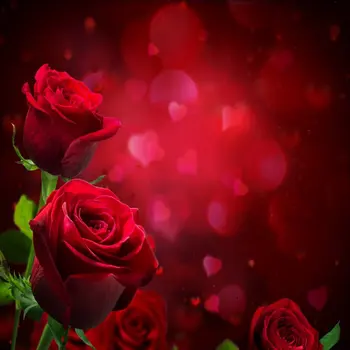 Paste Ziua Îndrăgostiților Vinil Fotografii Fundaluri trandafiri Rosii Personalizate Imprimate la imprimanta unui Calculator de Fundal de Dragoste valentine