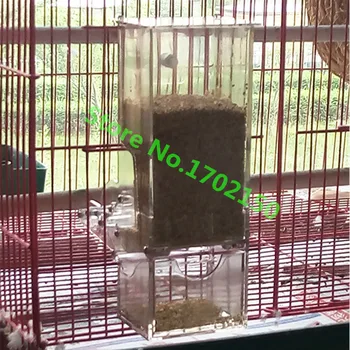 1 Buc Alimentator De Pasăre, Alimentatoare Automate De Mâncare De Păsări Ontainer Pasăre Alimentare Alimentatoare Pentru Porumbei Papagal Starling Păsări De Companie Dispozitive De Alimentare