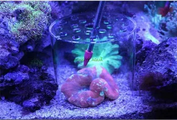 1 bucată acrilice alimentare coral capac de protecție coral feeder cover proteja coral reproducere capacul de protecție de acoperire acrilic