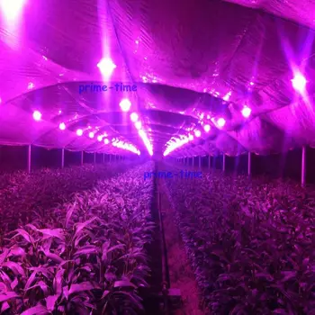 100W Plante Cresc de Lumină LED 380-840nm Spectru Complet+Curent Constant LED Driver+radiator fani+ 44mm obiectiv kituri
