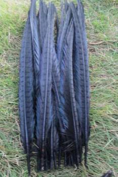 20 de PC-uri de înaltă calitate naturale fazanul de pene coada de 20-22inches/50-55cm