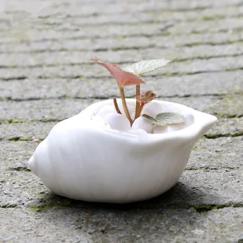 6Pcs/Set Mini Alb Ceramice, Ghivece de Flori Zakka Shell Decorative, Ghivece de Flori Simple Plante Suculente Ghivece Decor Peisaj