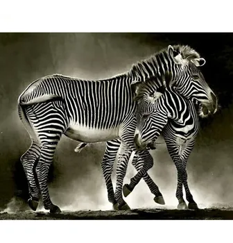 Alb și negru Zebra Animale Seria Diamond Broderie Cusatura Cruce lucru Manual Pietre Mozaic Pictura Decor Poze