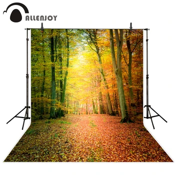 Allenjoy vinil fotografice de fundal frunze de Toamna frumos vis pădure, natură, fundal foto profesionale personaliza