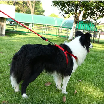 Animale de companie câine lesa Coarda de Tracțiune animal de Companie câine ham Câine Guler pentru întreprinderile mici și câini de talie mare 6 culoare mărimile S-XL
