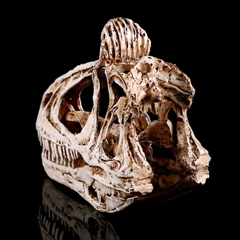 Craniu De Dinozaur De Rășină Schelet De Personalitate Mobilier Acasă Personalitate Decor Decor Acasă Medicale De Predare