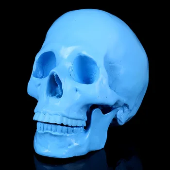 Elemente De Halloween Decoratiuni Acasă Medicina De Predare Rășină Cranii Noi Produse Calde Albastru Cranii