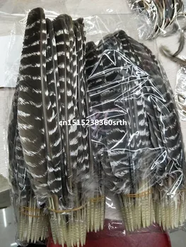 En-gros Perfect 10buc Limitate naturala model pene de vultur 8-16inch/20-40cm accesorii de Îmbrăcăminte performanță etapă de bricolaj