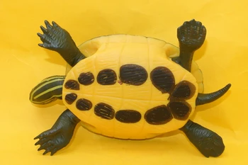 Jucăriile Hot Red-Eared Slider broască țestoasă model de Simulare Animale Marine, Animale de Mare de copii cadou de învățământ recuzită Cifrele de Acțiune