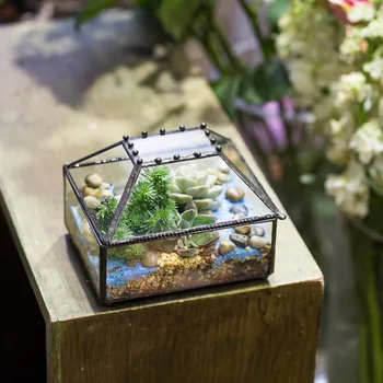 Masă DIY Mici Geometrice Decorative Ghiveci pentru Bonsai Oală Poliedru Terariu de Sticlă Cutie Plante Suculente Plantat cu Capac