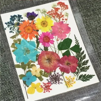 Naturale, Uscate, Presate Flori 12buc Manual DIY Lumânare Decorativ, specii de Plante Naturale Reale Buchet de Flori Bookmark