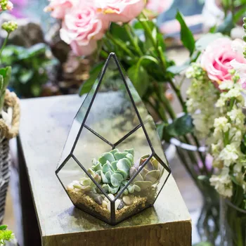 Patru suprafețe de Diamant Artistice Suculente Feriga Moss Plante Recipient de Sticlă Bonsai Ghiveci Sticlă Clară Geometrice Terariu Cutie