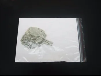 10buc 5-8cm Conservate Senecio Cineraria DC Frunze Frunze Pentru Buchet Coronita Ghirlanda de a Face Materialul Accesoriu Ambarcațiuni DIY