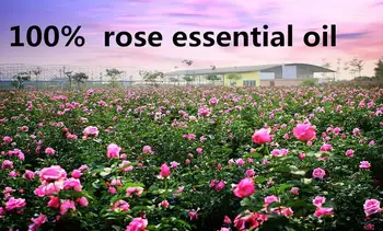 AKARZ Faimosul brand natural de trandafir ulei esențial de Albire, anti-imbatranire, antirid relaxa pigmentare elimina beriberi ulei de trandafir