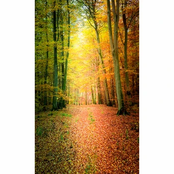 Allenjoy vinil fotografice de fundal frunze de Toamna frumos vis pădure, natură, fundal foto profesionale personaliza