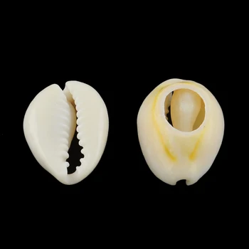 En-gros Naturale Spirală Shell Margele Pentru Bijuterii DIY Brățară Colier piatra 13~16x10~11x3~5mm; despre 800pcs/500g