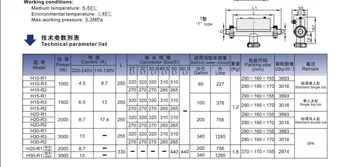 LX Spa Încălzire - H30-R2 cu comutator de presiune exterior cablu