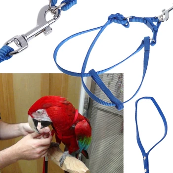 Papagal Lesa Pet Valorifica În Aer Liber Reglabil Anti Muste Instruire Formației De Zbor