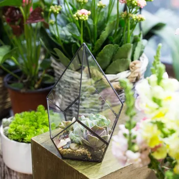 Patru suprafețe de Diamant Artistice Suculente Feriga Moss Plante Recipient de Sticlă Bonsai Ghiveci Sticlă Clară Geometrice Terariu Cutie