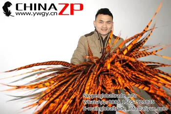 Producător în CHINAZP Fabrica de 50pcs/multe Dimensiuni de 80-90cm(32-36 inch pe) de Bună Calitate, Vopsit Portocaliu Lady Amherst Coada Pene de Fazan