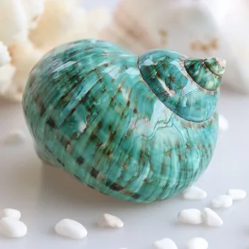 Transport gratuit(1buc/lot)Turban Verde Coajă Naturale & Scoică Acasă Decor Acvariu de Amenajare a teritoriului Shell Ornamente