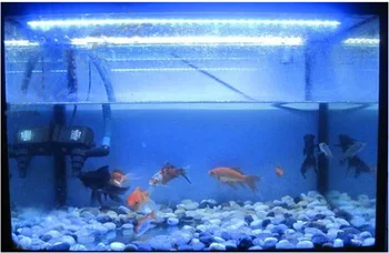(1m Albastru + 1m Alb)/lot, 28.8 W/lot 220V SMD 5050 LED Strip lumina de acvariu, rezervor de pește de lumină, nu Poate fi folosit in apa