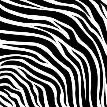 Allenjoy fotografie fundal Negru și alb model zebra stil modern de fundal studio foto camera fotografica