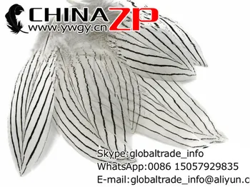 Aur Producător CHINAZP Fabrica 50pieces/lot 8~10 cm Lungime de Calitate Superioară Alb Natural de Argint Penaj Pene de Fazan
